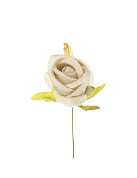 10 Rosa bocciolo tortora
