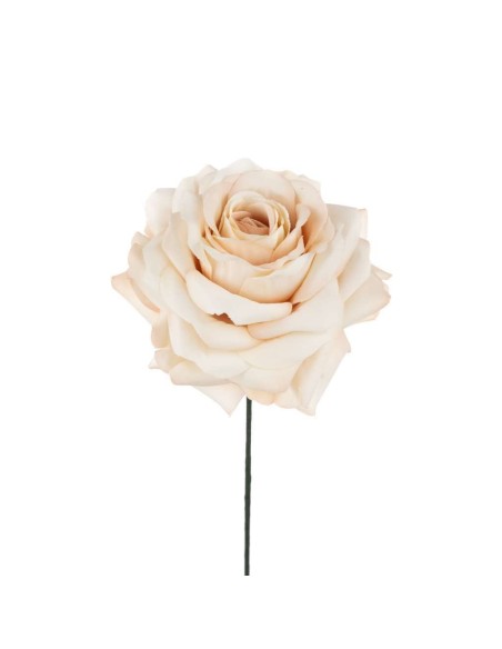 6 Rosa cipria