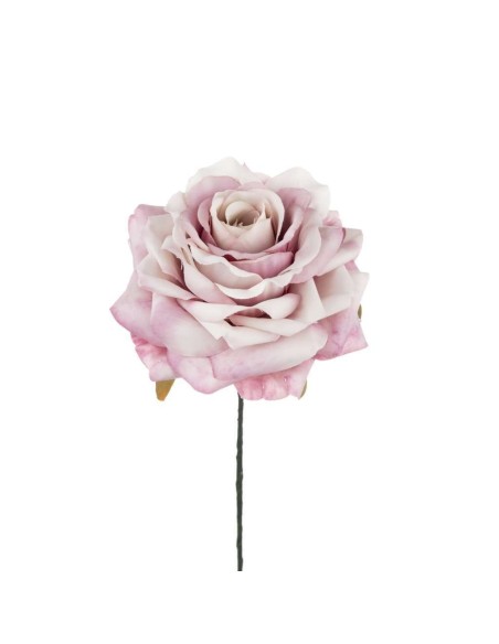 6 Rosa oldpink